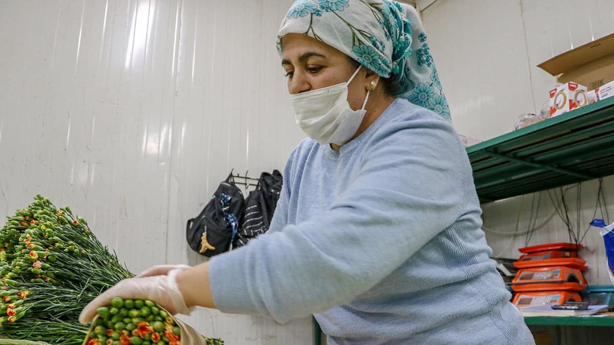 Kesme çiçek sektörü temsilcileri, Avrupa ülkelerinin koronavirüs tedbirleriyle karantina ilan etmeleriyle ihracatta 30 milyon dolar zarar edilebileceğini, 150 milyon dal karanfilin çöpe gidebileceğini belirtti.