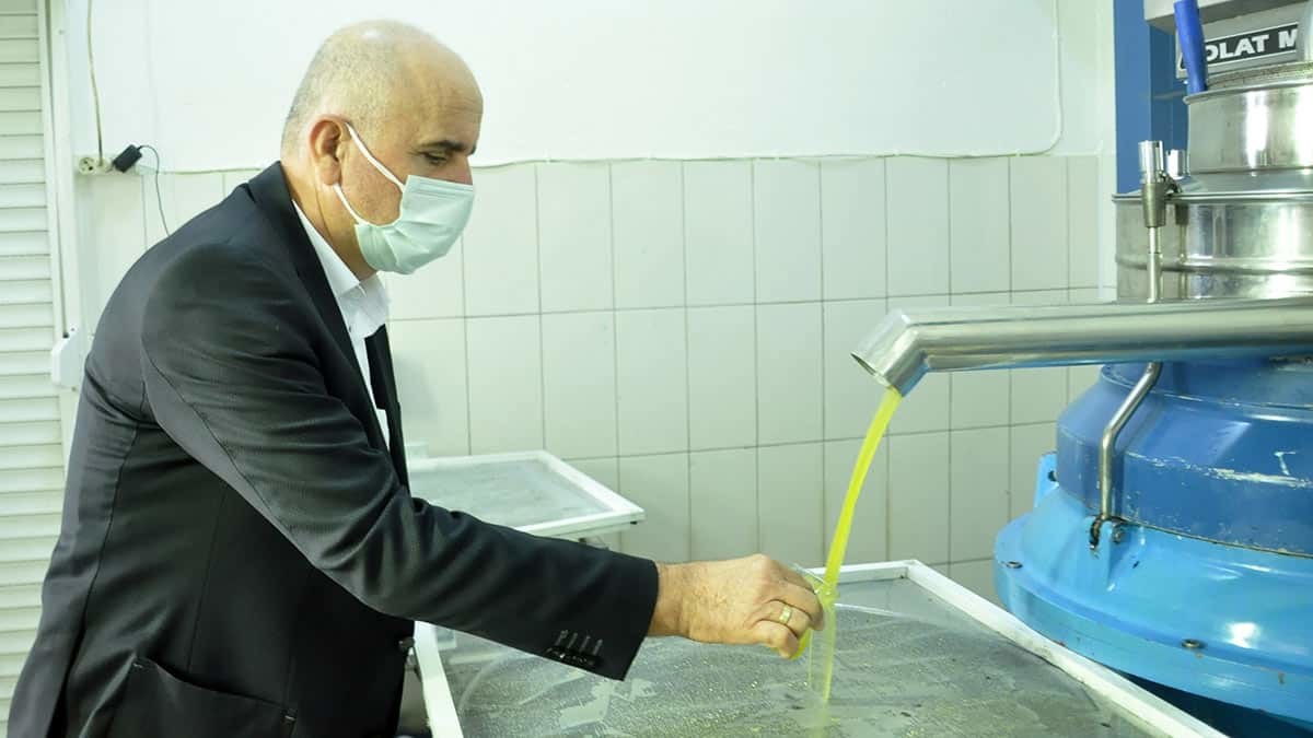 Kilosu 16-17 liraya zeytinyağı olmaz