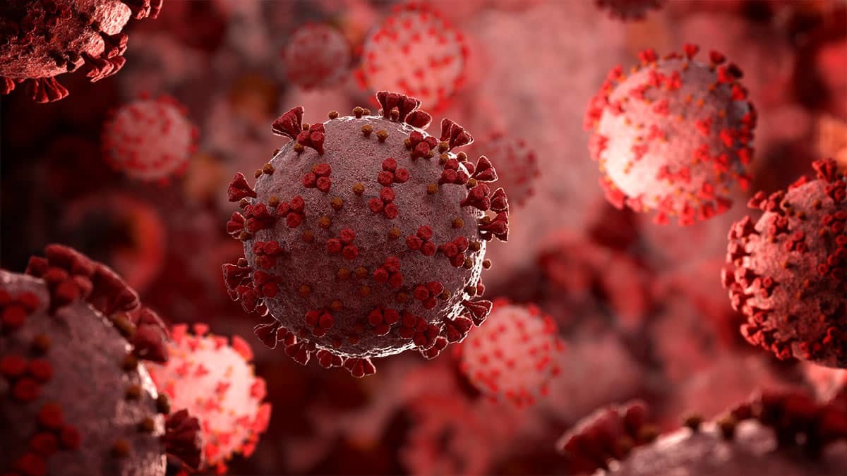 Korona'da ağır hasta sayımız 4 bin 543’e ulaştı