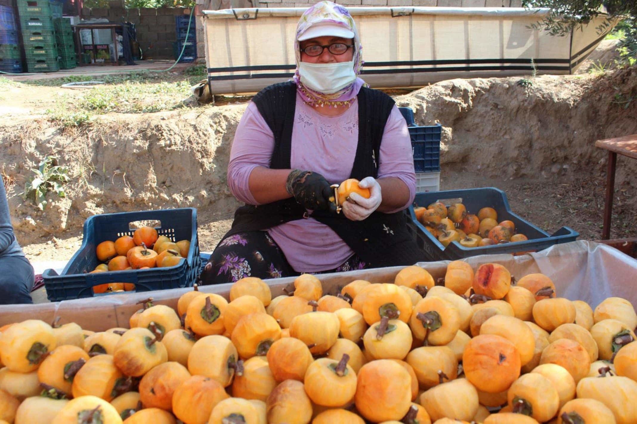 20 kadına istihdam sağlayan Yılmaz, yılda 50 ton cennet elması kurutup, Türkiye'nin dört bir yanına gönderiyor.