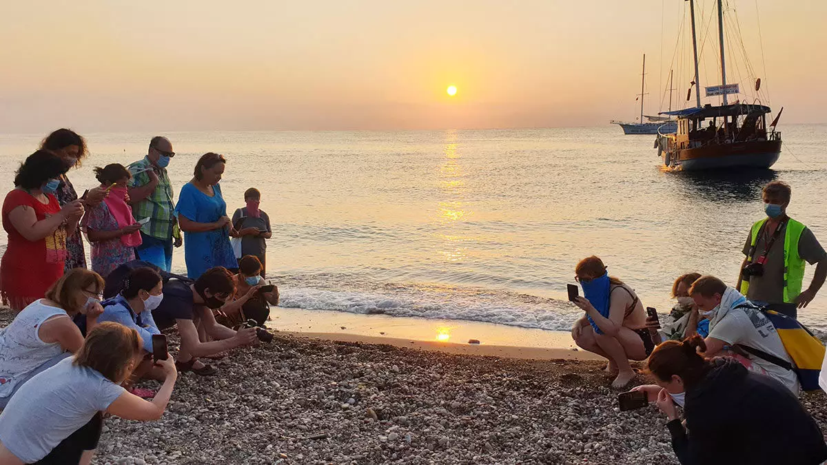 550 bin yavru deniz kaplumbağası denizle buluştu