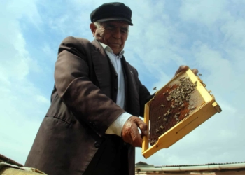 64 yıldır arıcılık mesleğini sürdürüyor