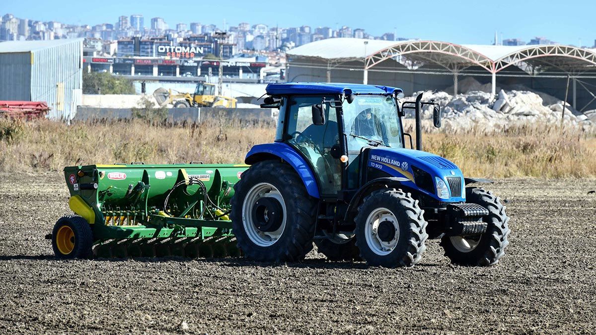 Ankara Büyükşehir Belediyesi tarafından 3 yıllığına kiralanan Atatürk Orman Çiftliği arazisinde tarım yeniden başladı.