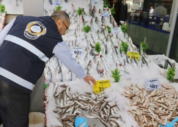 Zabıta ekipleri 50.000 denetim yaptı