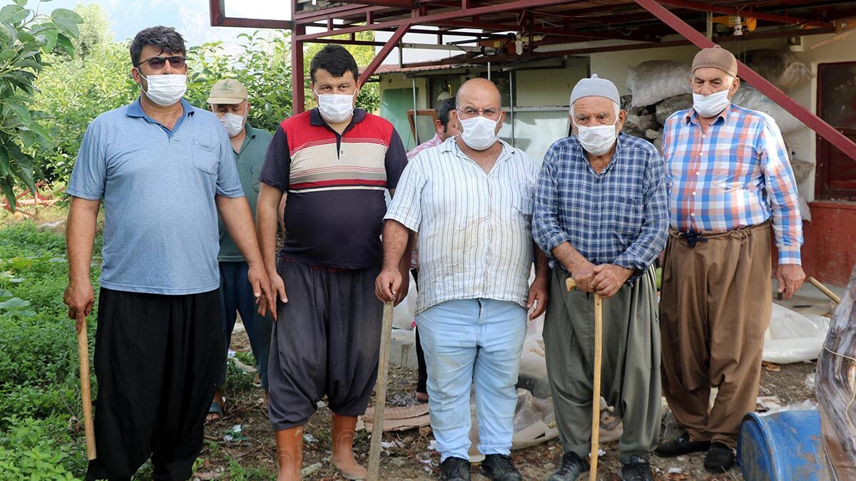 Avokado üreticileri sopalarla nöbete başladı