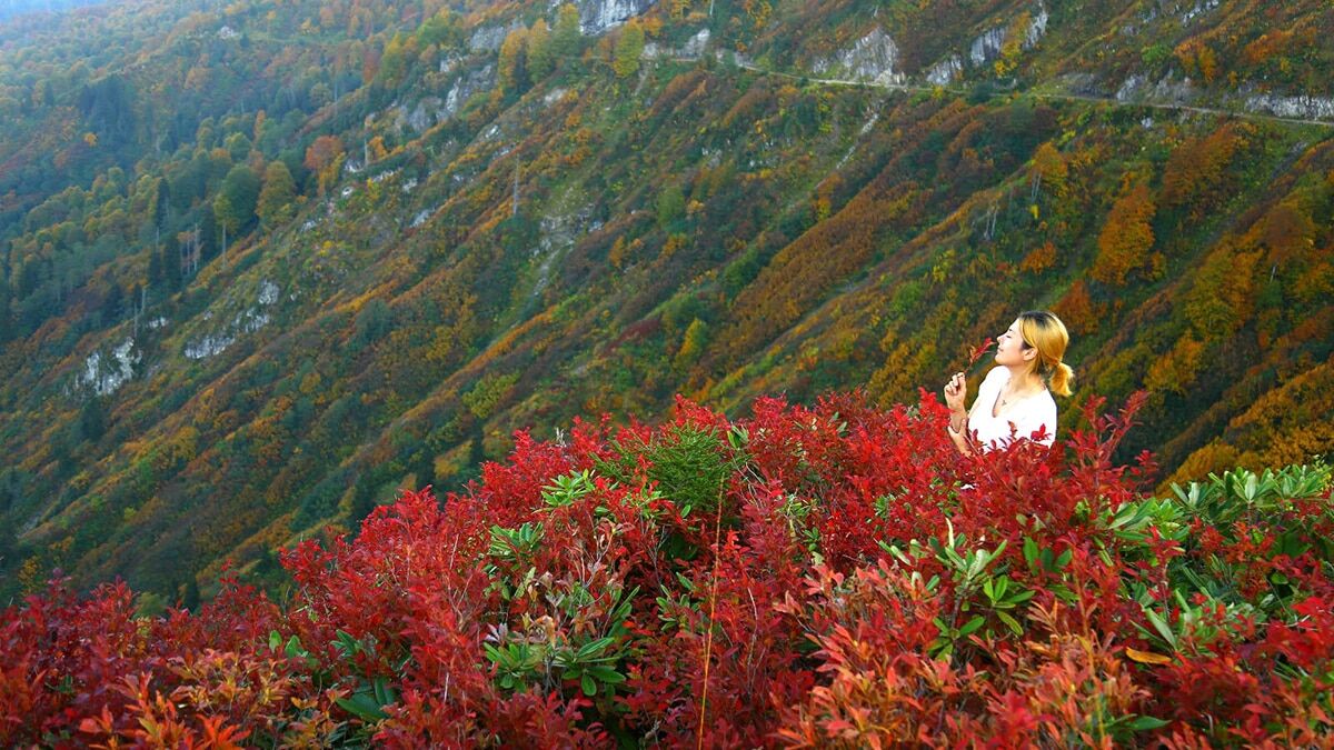 Macahel, doğası ve endemik bitkileriyle kendisine hayran bırakıyor.