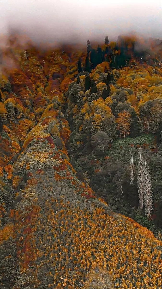 Artvin'de karçal dağı eteklerinde bulunan ve unesco'nun koruması altındaki macahel bölgesinde sonbaharla birlikte seyrine doyumsuz görüntüler oluştu.