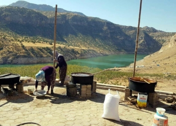 Organik bıttım sabunlarını Avrupa'ya satıyor
