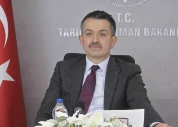 Yanan bölgelerin 1 yıl içinde tekrar ağaçlandırılması zorunlu