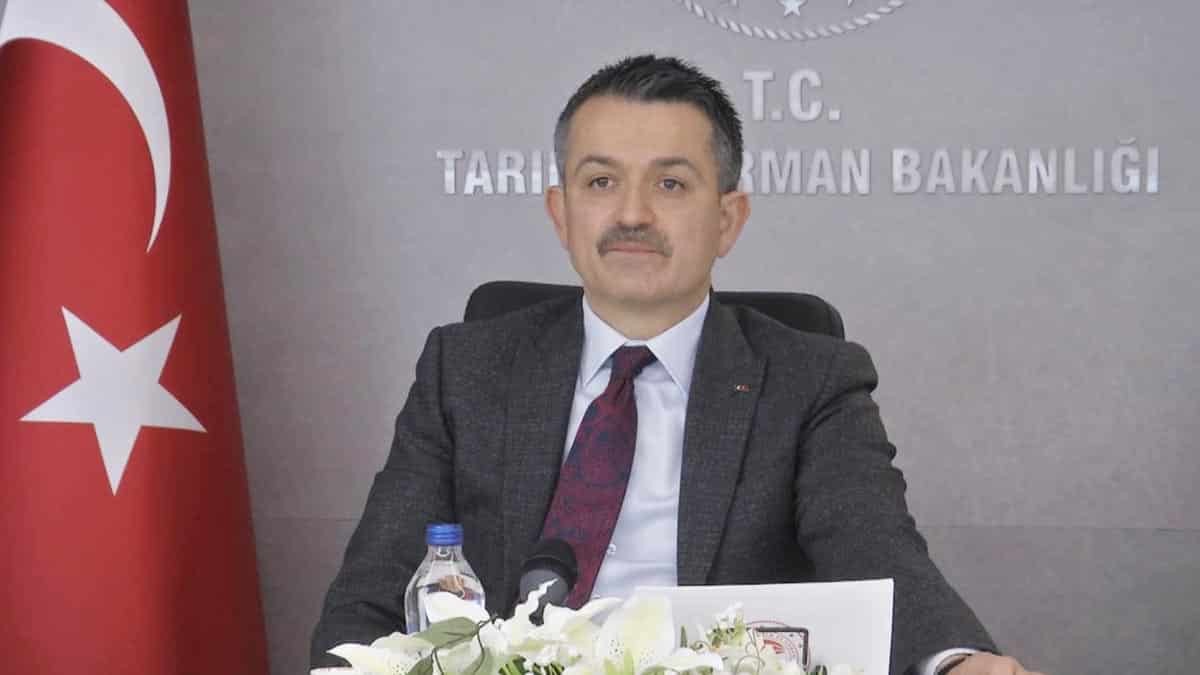 Yanan bölgelerin 1 yıl içinde tekrar ağaçlandırılması zorunlu