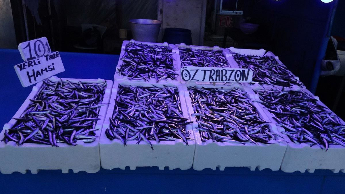 Hamsinin kilosu 7.5 ile 10 lira arasında