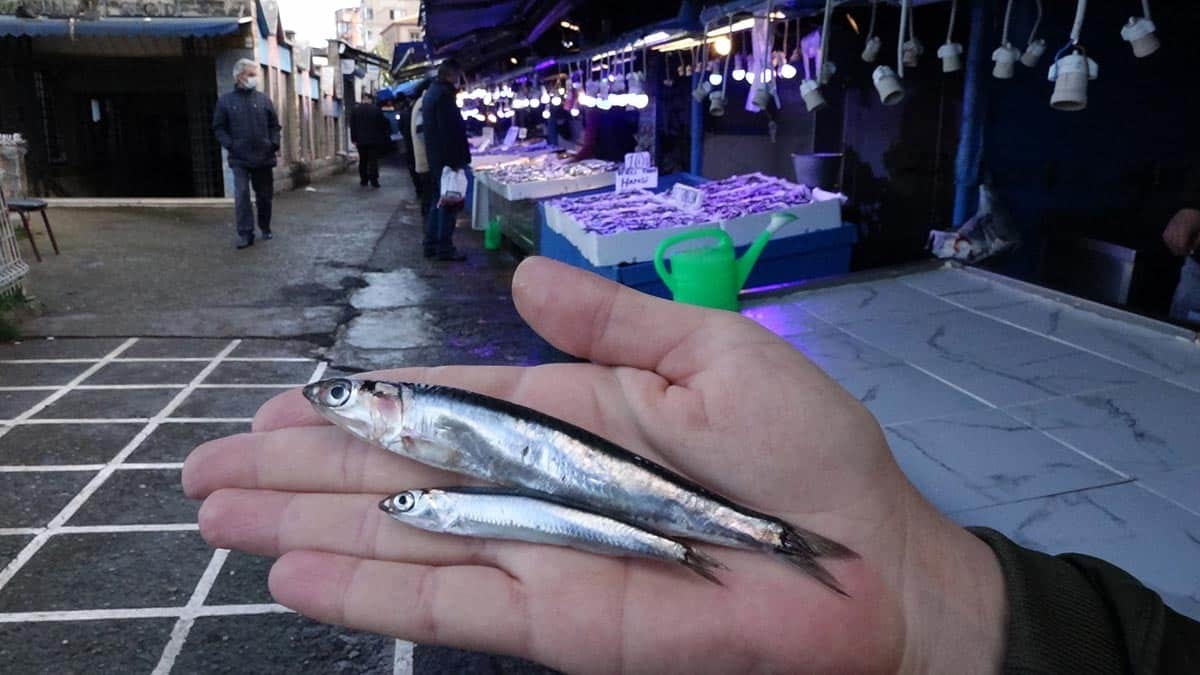 Hamsinin kilosu 7.5 ile 10 lira arasında