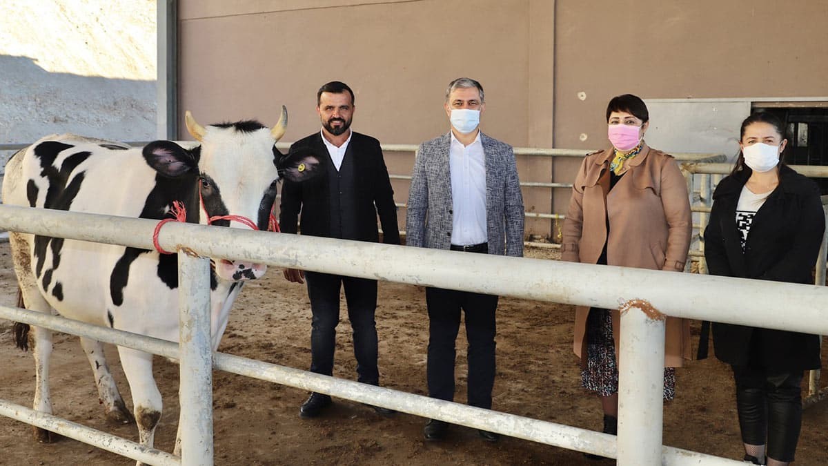 Başkan Böcek, kısa zamanda taburcu olabilir