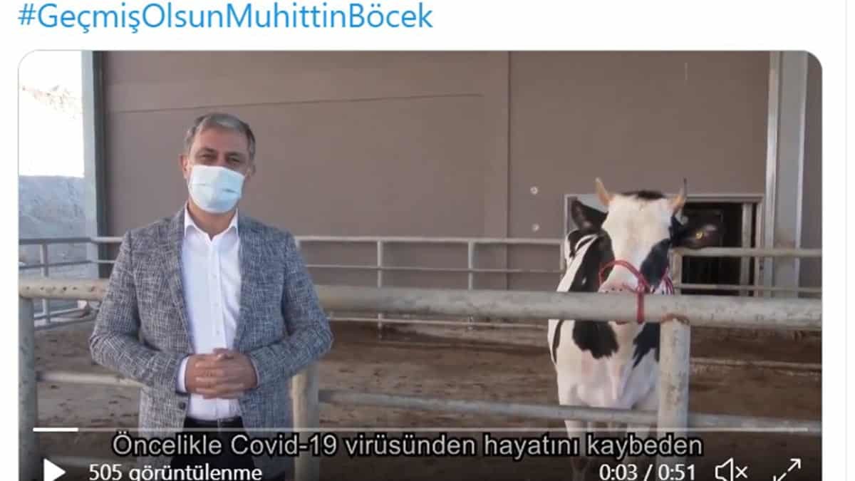 Başkan Böcek, kısa zamanda taburcu olabilir