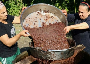 Defne ilçesine bağlı Samankaya Mahallesi'nde geleneksel yöntemlerle defne yağı çıkaran Nahya ve Atra Güzelyurt kardeşler, yağın hazır hale gelmesi için iki gün boyunca emek harcıyor.
