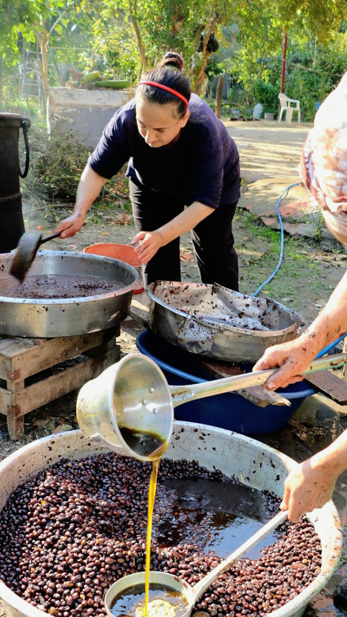 Hatay'da, doğada kendiliğinden yetişen defne ağaçlarının meyvelerinin kaynatılarak binbir zahmetle üretilen defne yağı pazar sıkıntısı çekmeden litresi 100 liraya satılıyor.