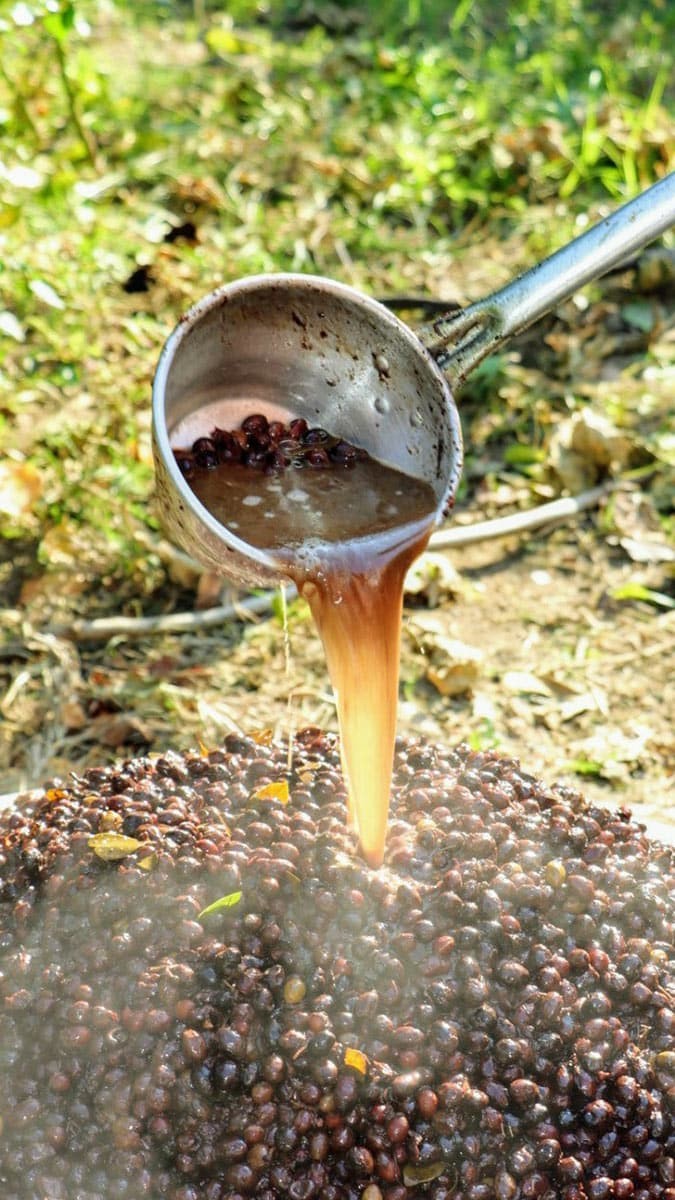 Defne ilçesine bağlı Samankaya Mahallesi'nde geleneksel yöntemlerle defne yağı çıkaran Nahya ve Atra Güzelyurt kardeşler, yağın hazır hale gelmesi için iki gün boyunca emek harcıyor.