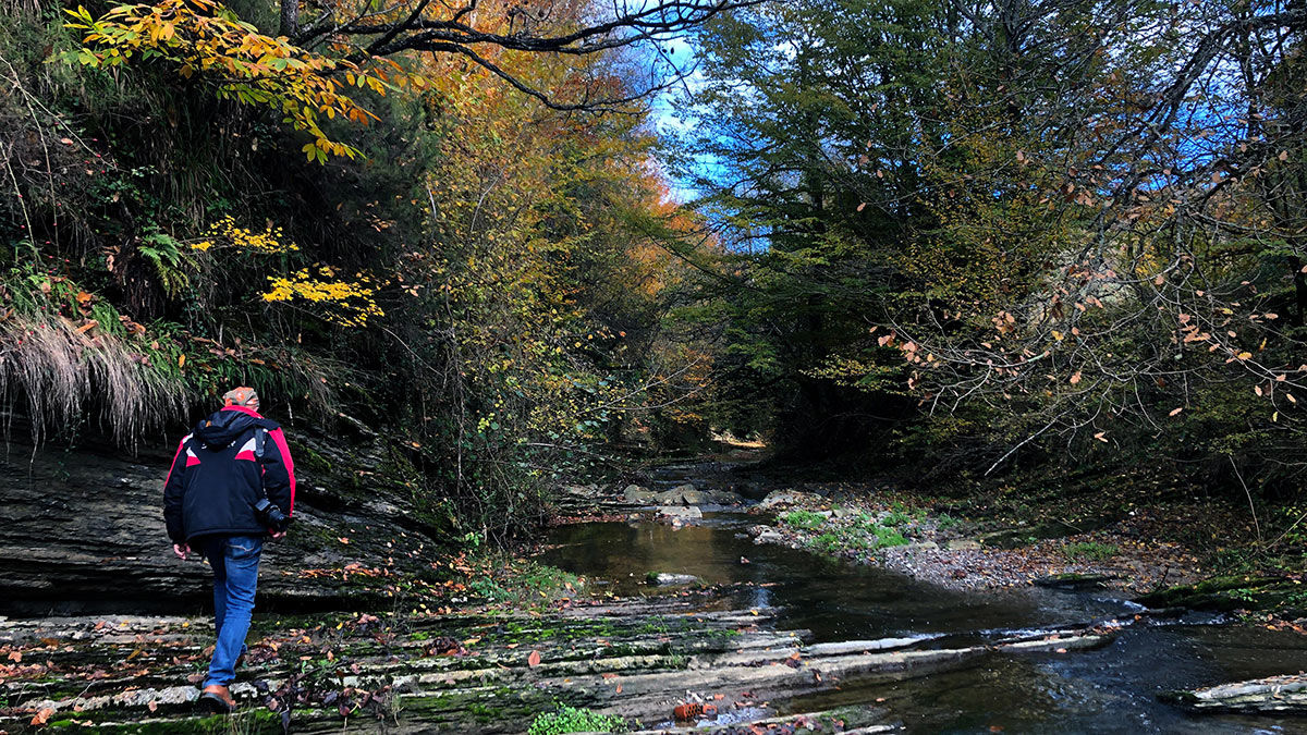 Orman içindeki dere kendisine hayran bırakıyor