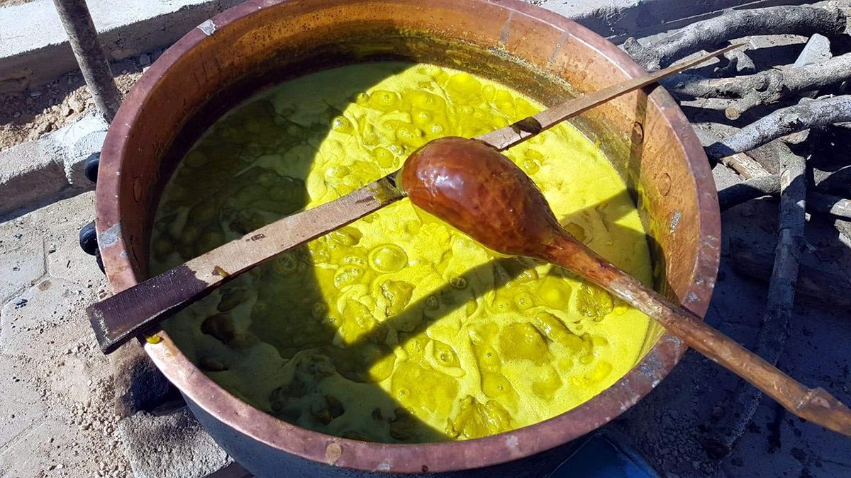 Kimyasal madde katmadan yaptığı organik bıttımdan ürettiği cilt kremi, Türkiye'nin yanı sıra Avrupa'nın birçok ülkesinde yoğun rağbet gördü.