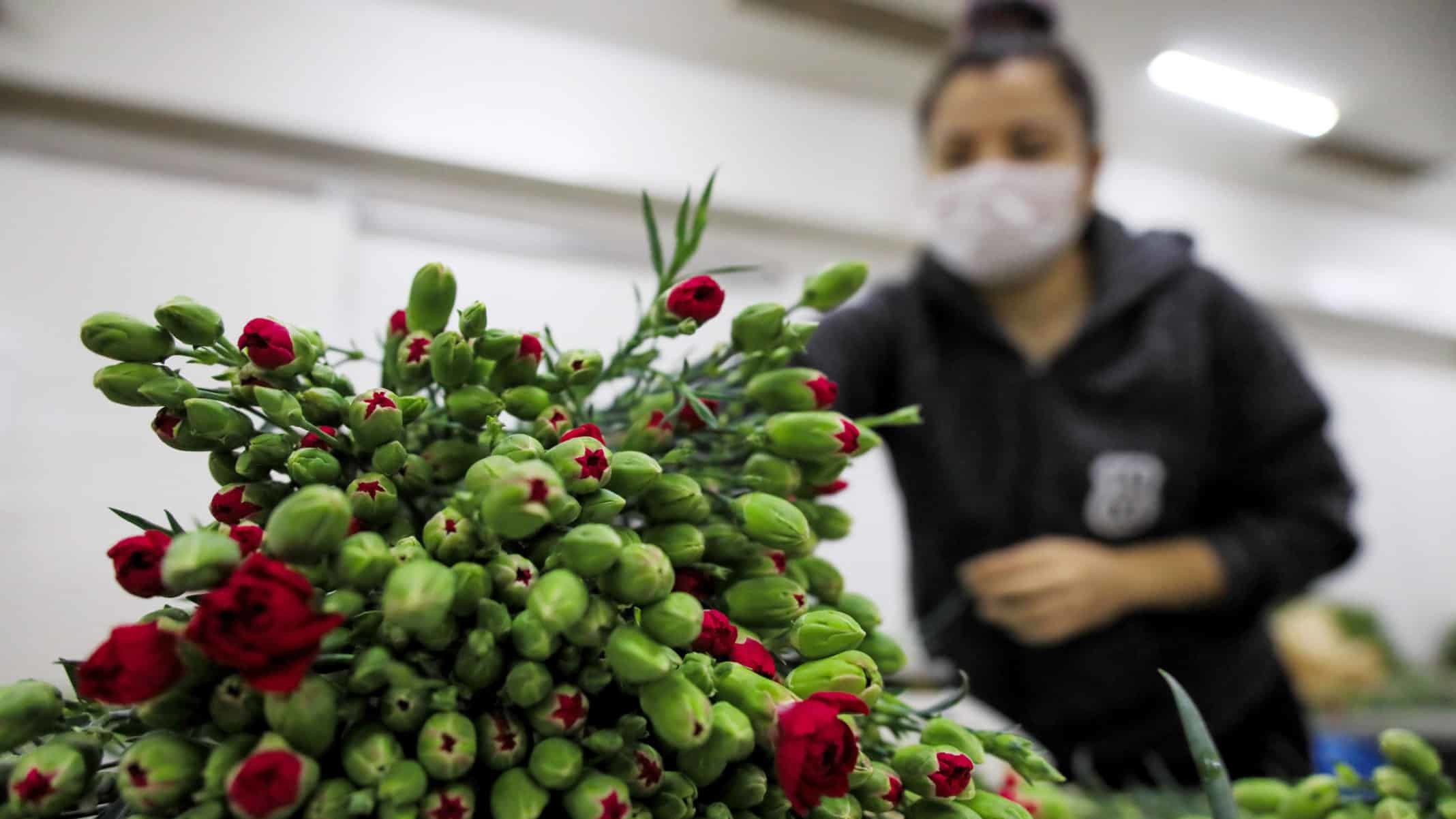 Kasım ayı çiçek sektörüyle renklenecek