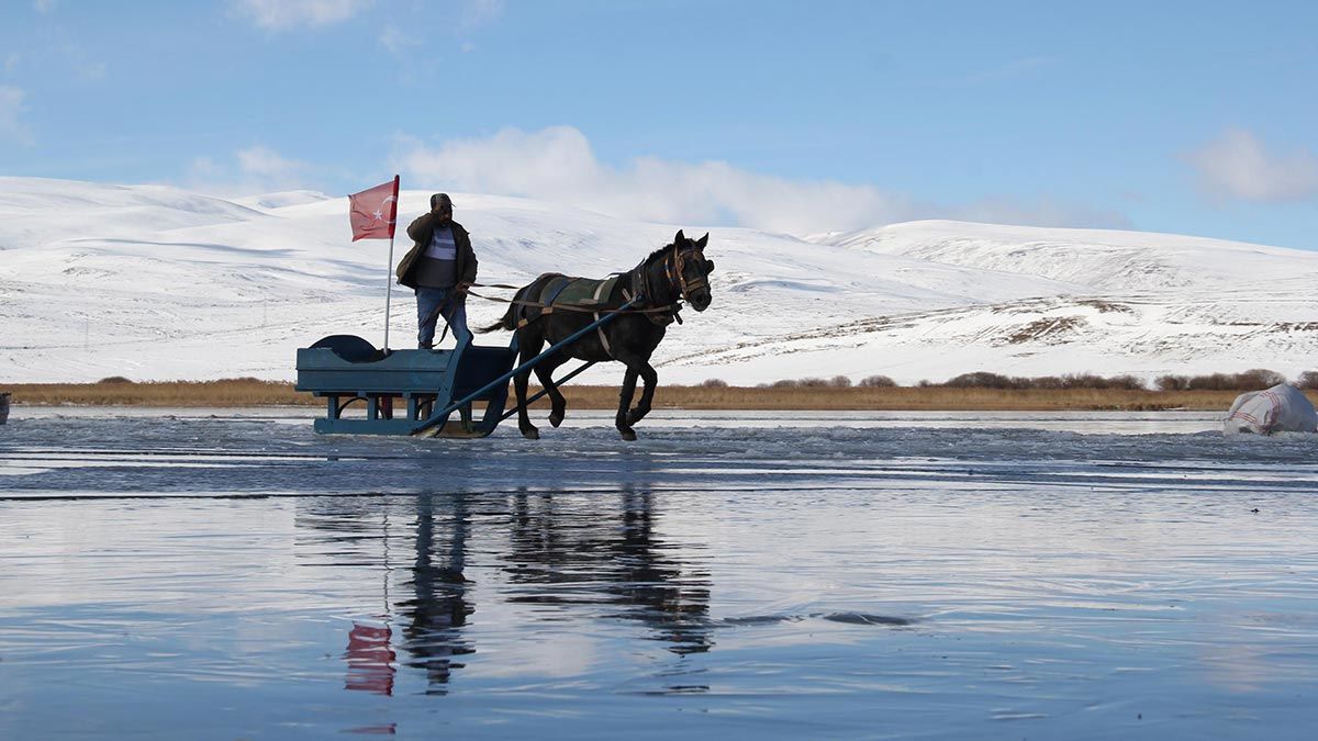 Çıldır Gölü'nde atlı kızak keyfi
