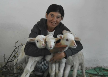 Kütahya’da tuttuğu balıkları satarak geçimini sağlayan 2 çocuk annesi Serpil Büyükköse’nin (34) hayatı, Genç Çiftçi projesi kapsamında hibe edilen 34 koyunla değişti.
