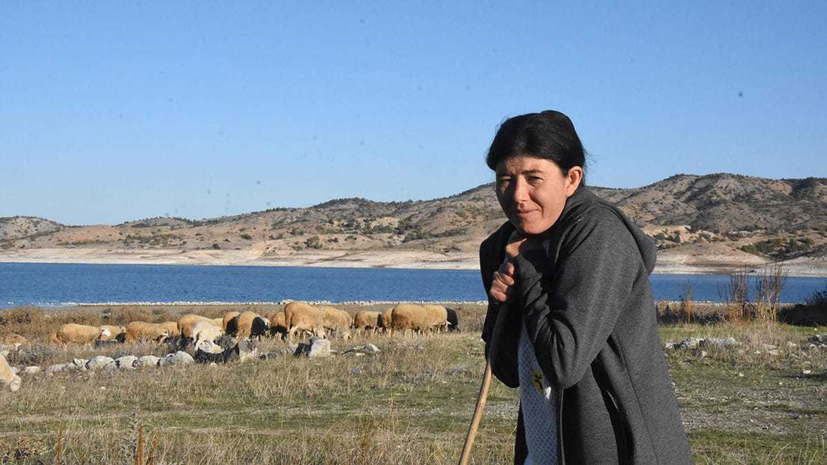 Kütahya’da tuttuğu balıkları satarak geçimini sağlayan 2 çocuk annesi Serpil Büyükköse’nin (34) hayatı, Genç Çiftçi projesi kapsamında hibe edilen 34 koyunla değişti.