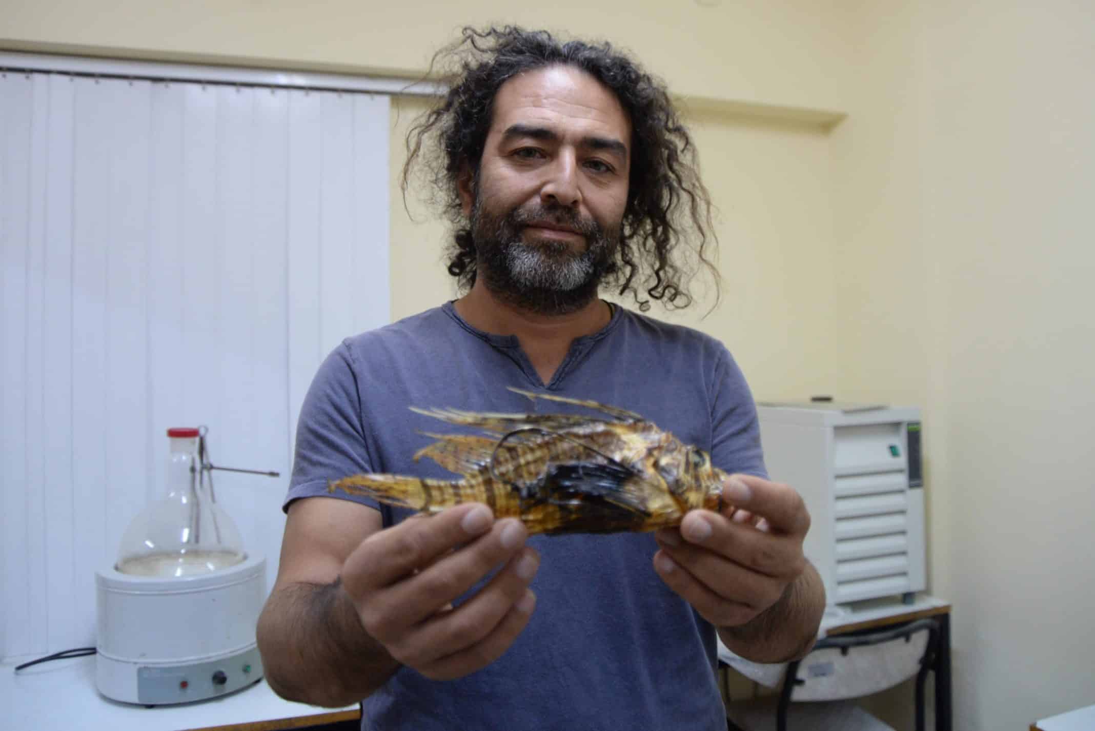 Süveyş Kanalı'ndan geçerek Doğu Akdeniz sahillerine yayılan istilacı 'aslan balığı' zehrinin cinsel problemlere çözüm olacağı gündeme geldi.