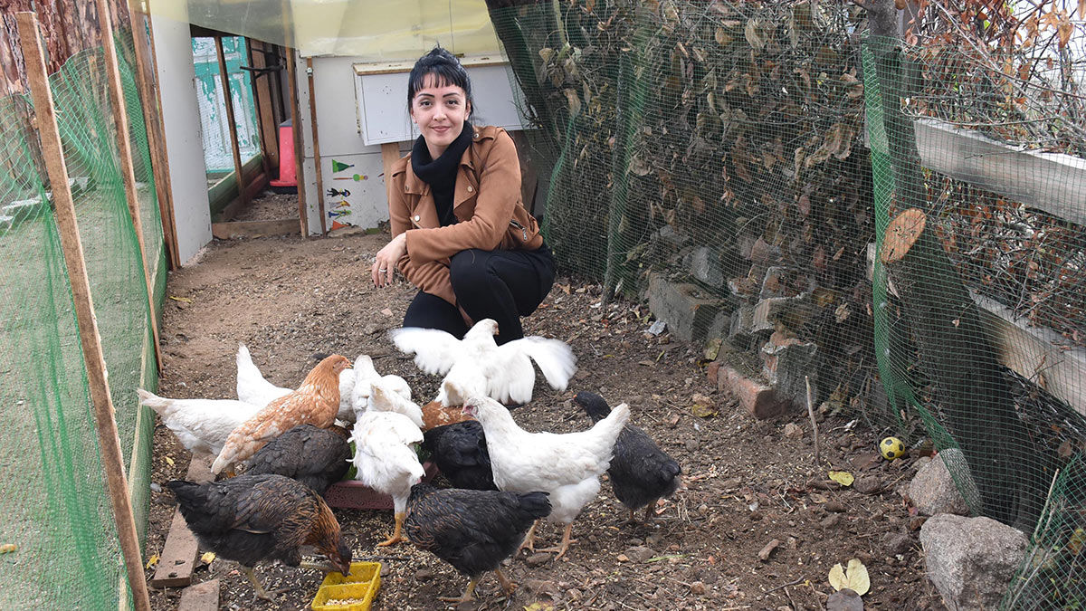 İstanbul'da yaşayan gazeteci Atilla Diş ve eşi haber spikeri Saadet Diş mesleklerini bırakıp, İzmir’in Bergama ilçesinin kırsal Kozak Mahallesi’nde köy evine taşındı.
