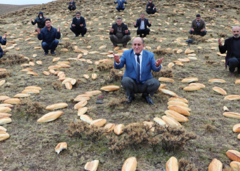 Yaban hayvanlar için 2001 ekmek bıraktılar