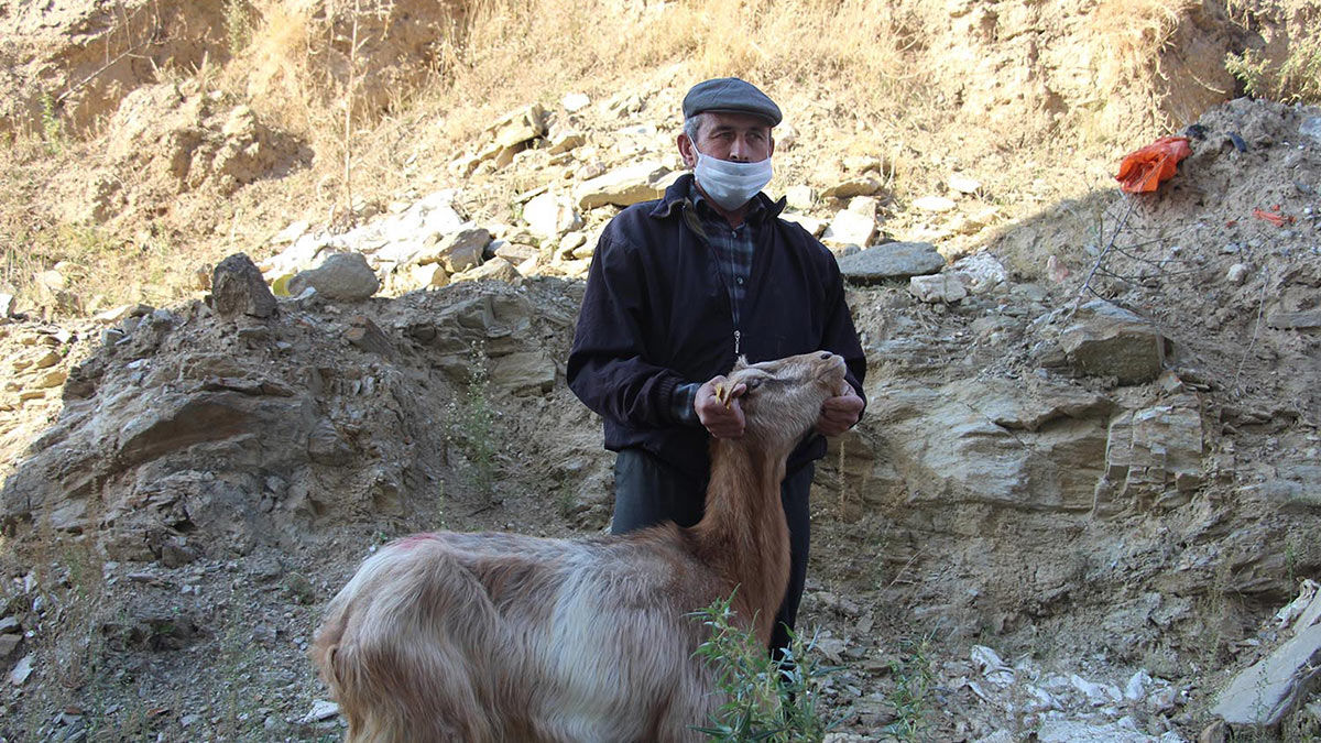 Manisa'da, Kula Devlet Hastanesi inşaatının 8 metrelik drenaj kanalına düşen 2 keçi itfaiye ekiplerince yarım saatlik çalışma sonucu kurtarıldı.