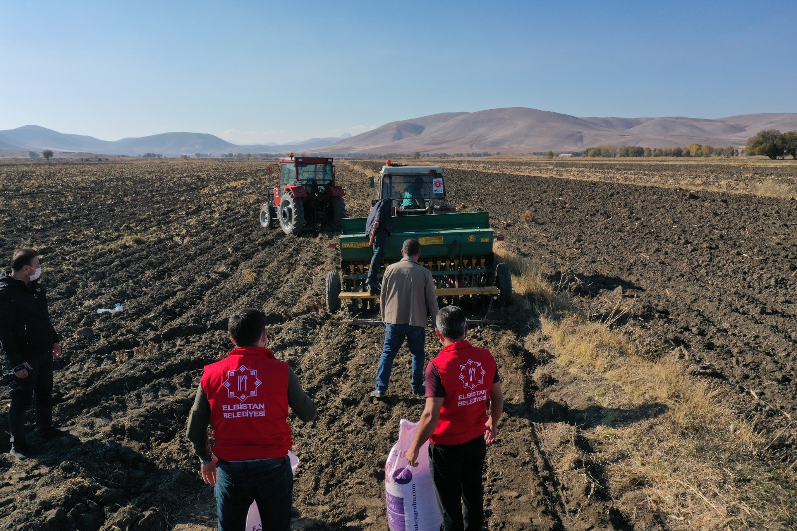 12 dönümlük alana Siyez buğdayı ekti