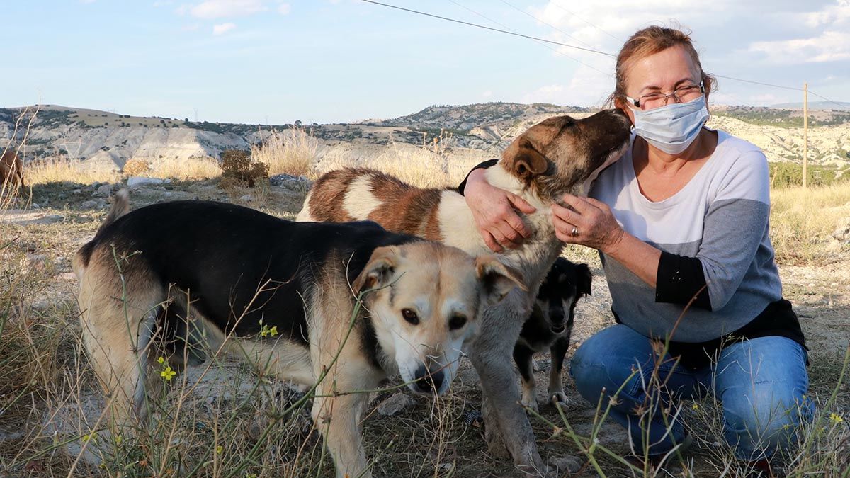 Sokak hayvanlarının refahı için mücadele ediyoruz