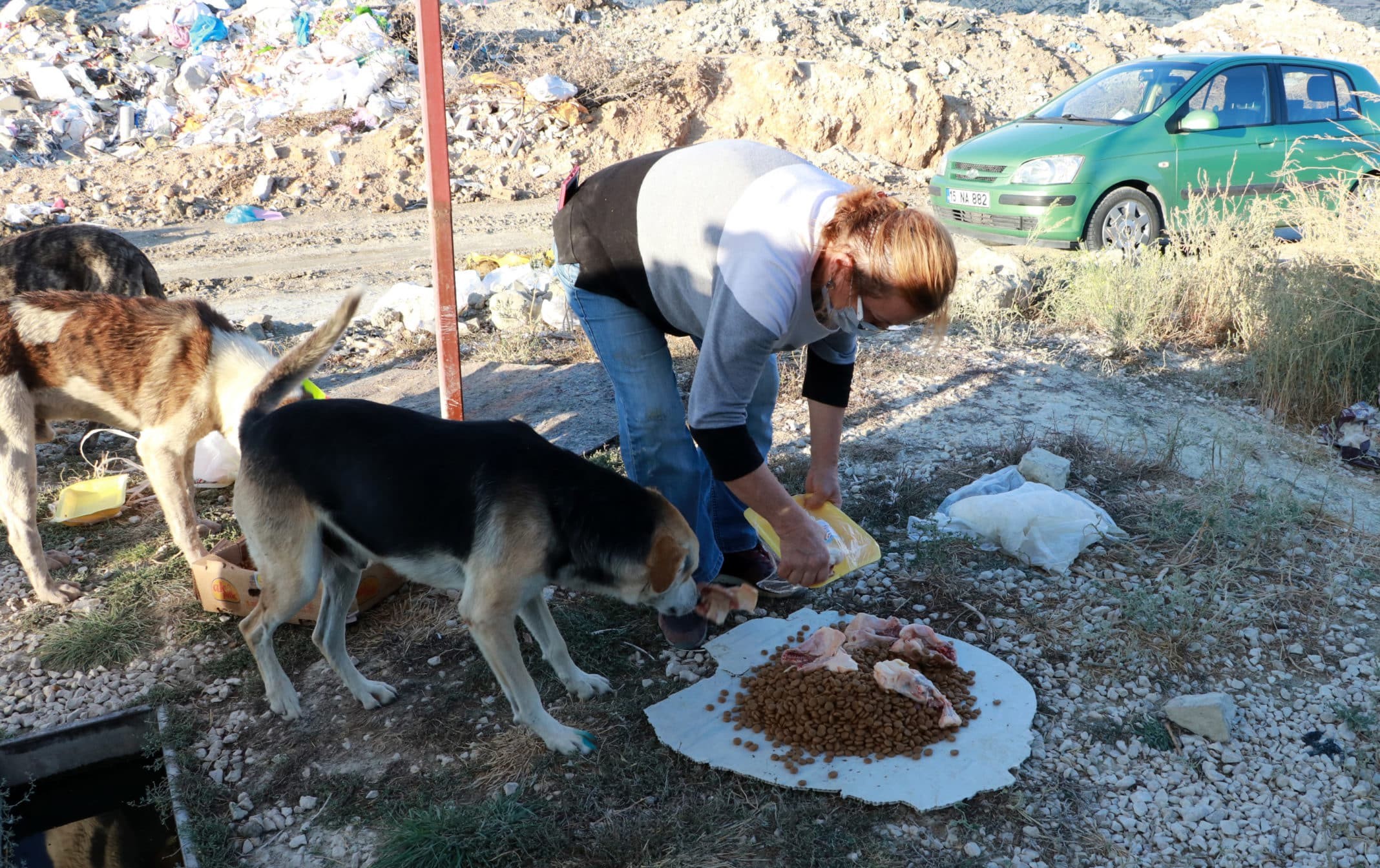 Gönüllülerle birlikte 9 yıldır hayvanlar için mücadele ettiğini söyleyen Aysel Turan, "Yıllardır aynı insanlarla sokak hayvanlarının refahı için mücadele ediyoruz" dedi.