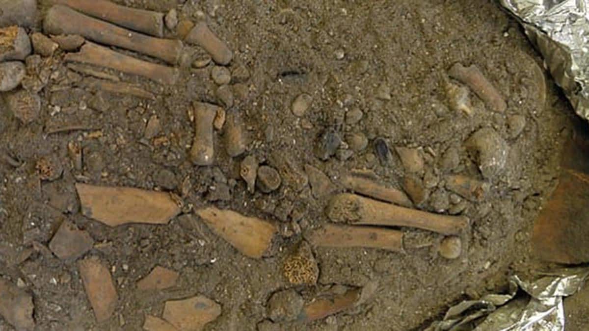 Çocuğun yanakları, o dönemin cenaze geleneklerine uygun olarak kırmızı aşı boyasıyla boyanmış halde keşfedildi.