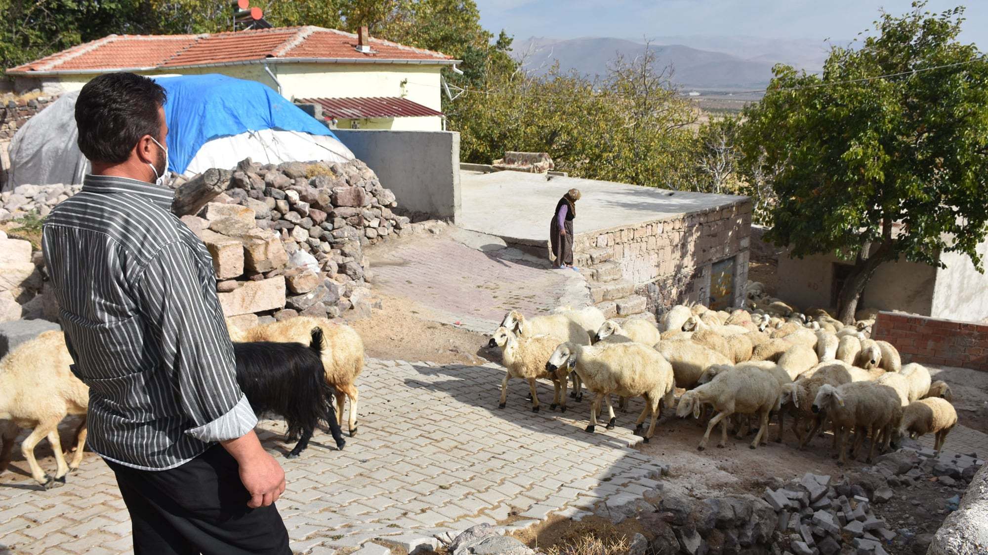 Engelliyim ancak hayata küsmedim