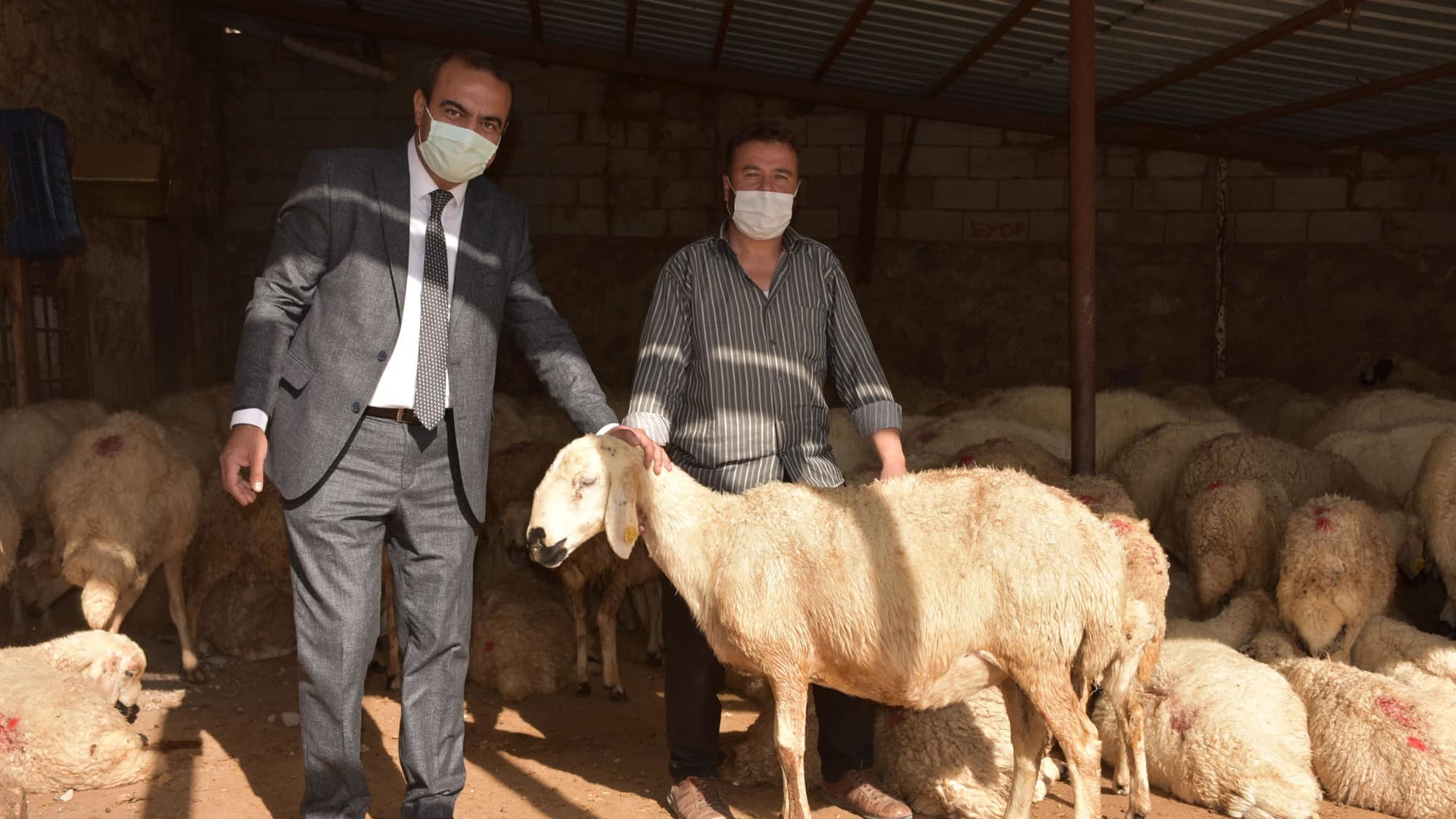 Demir, "Bebekken doktor tarafından yapılan enjeksiyon sonrası felç geçirdim. Engelliyim ancak hayata küsmedim, azmedip, çalıştım" dedi.