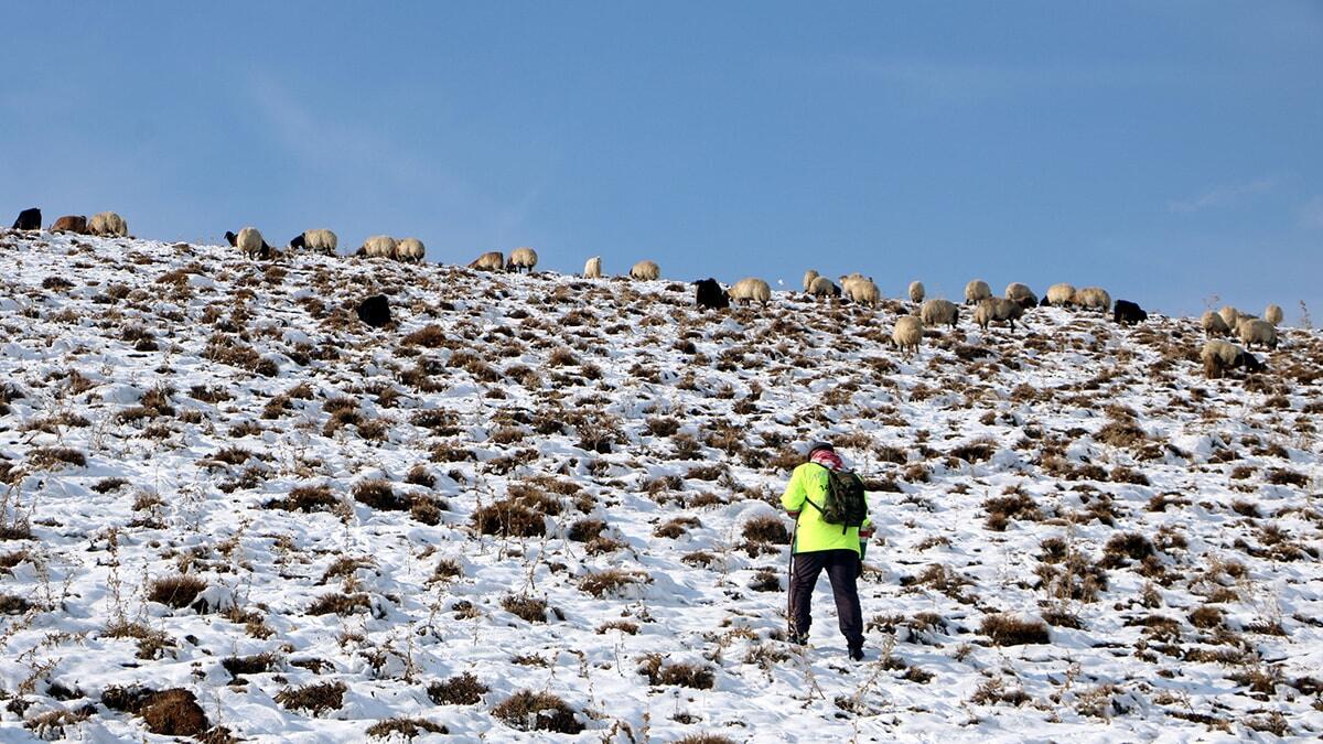 Kar hayvan yetiştiricilerini etkiledi