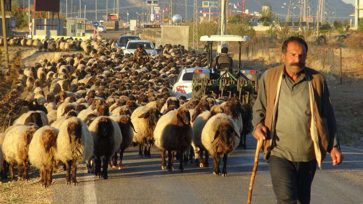 Göçerlerin zorlu yolculuğu sürüyor