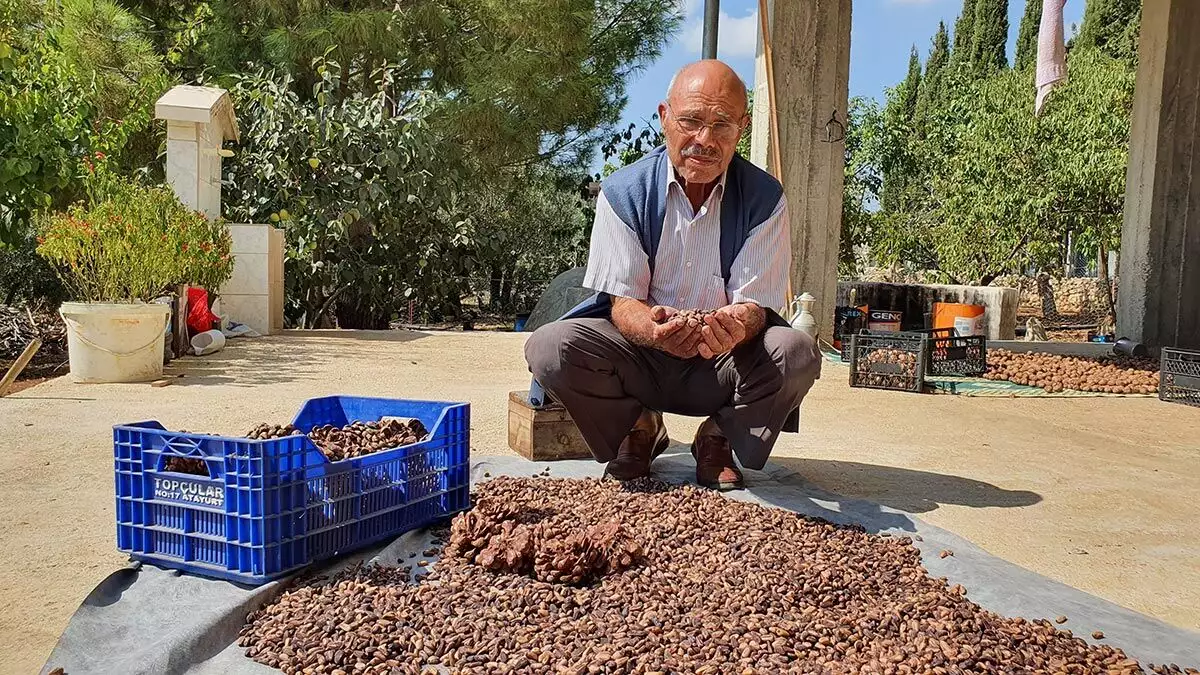 İlk hasadında 40 bin tl kazandı