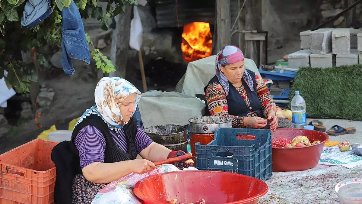 Mersin'in gülnar ilçesinde kadınlar tarafından ağaçlardan toplanan ve ayıklanan narlar, uzun yıllardır geleneksel yöntemlerle hazırlanarak nar ekşisine dönüştürülüyor.