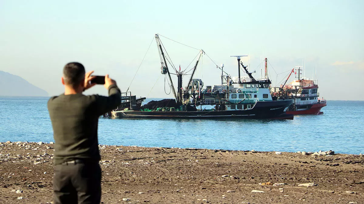 Zonguldak'ta yaşanan hamsi bolluğunun ardından tezgahlardaki balık fiyatları düşüşe geçti.