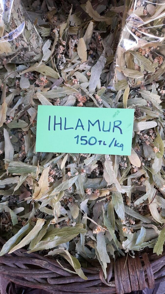 Ihlamurun yapraklı fiyatı 150 TL