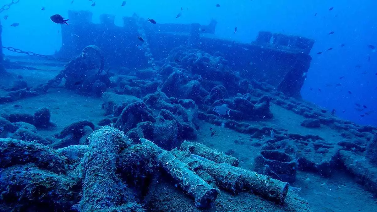 Antalya yat limanı açığında denizin derinliklerinde bulunan saint didier batığının çevresindeki hayalet ağlar temizlenince, su altı yaşamı renklendi.