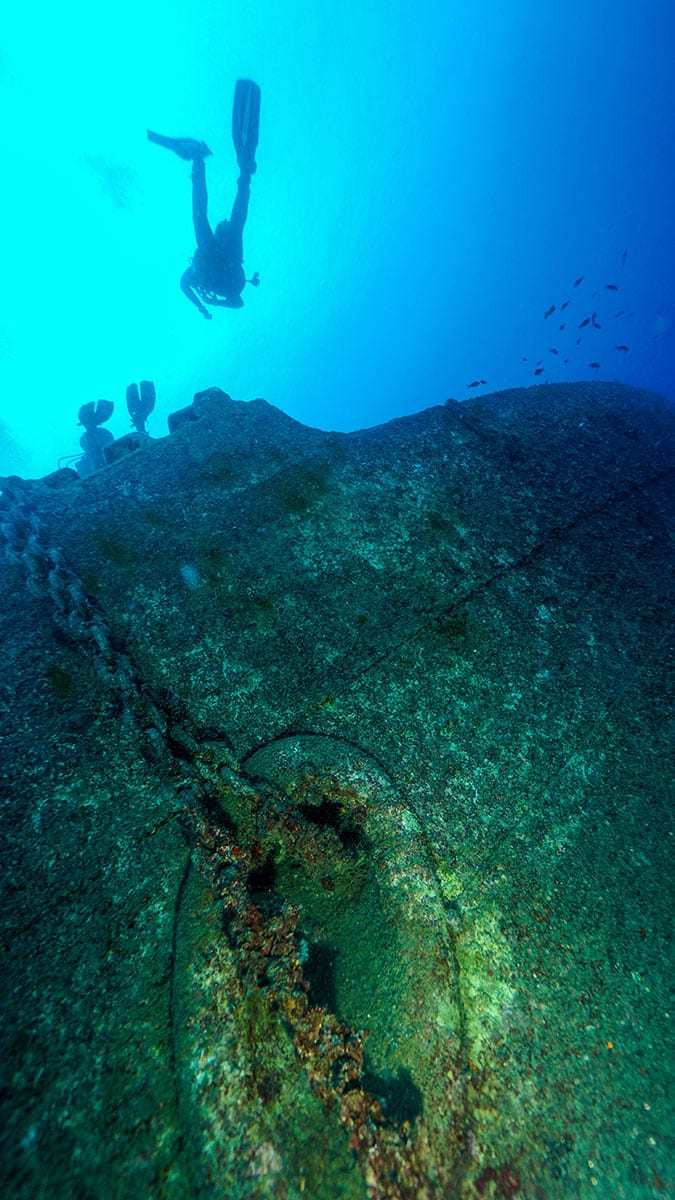 Hayalet ağlar temizlenince, su altı yaşamı renklendi
