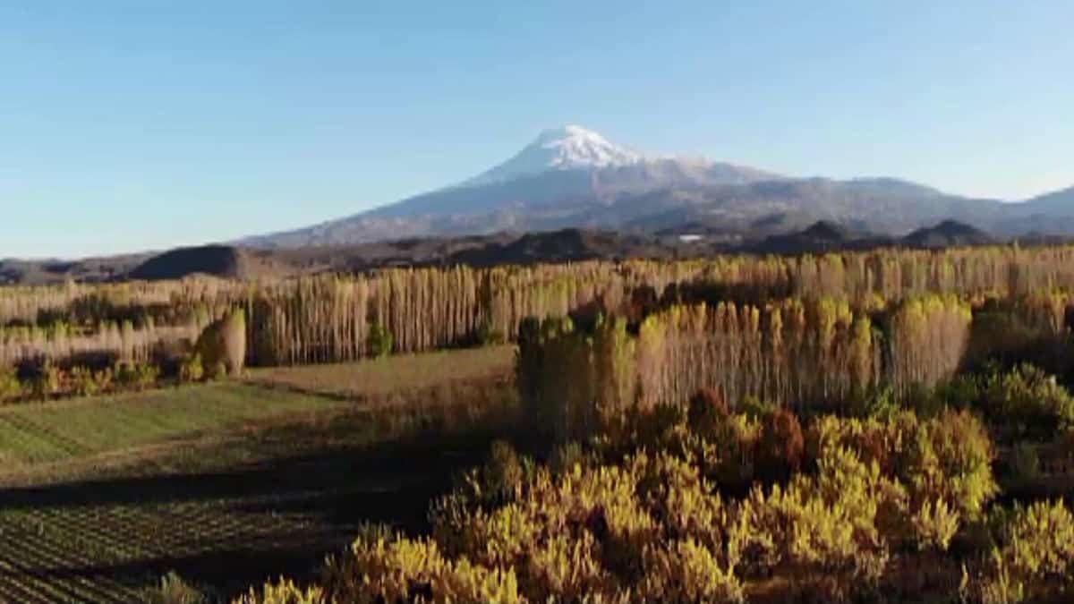 İrem Bağları'na ziyaretçi akını