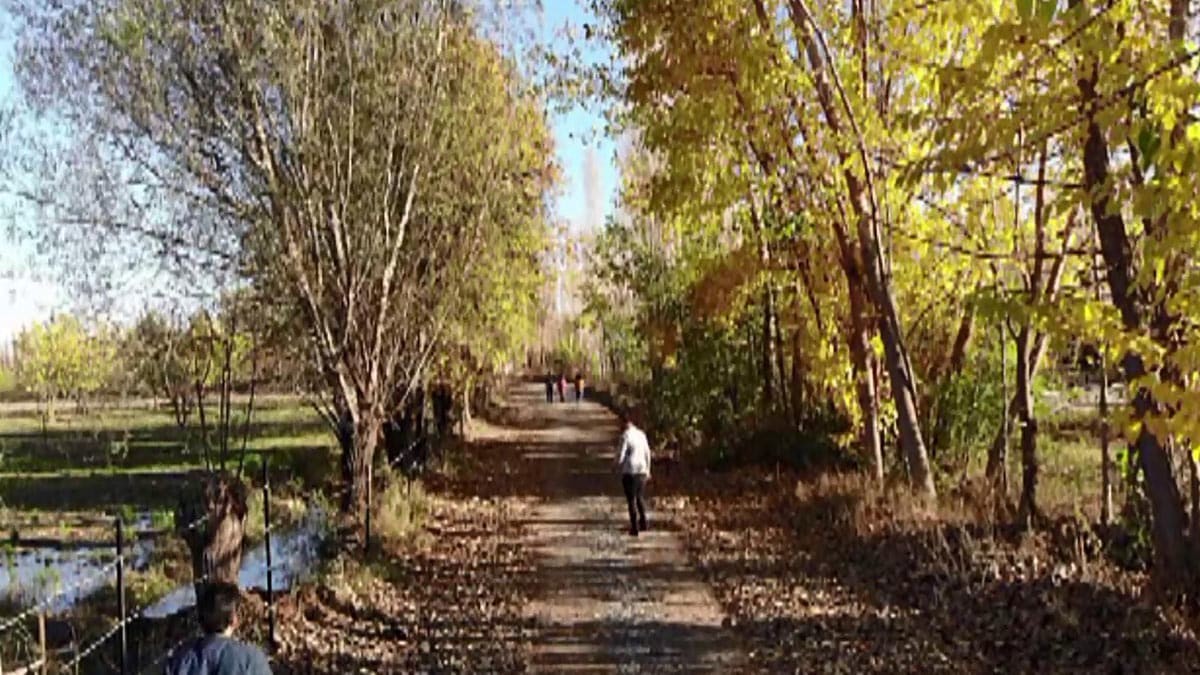 İrem Bağları'na ziyaretçi akını