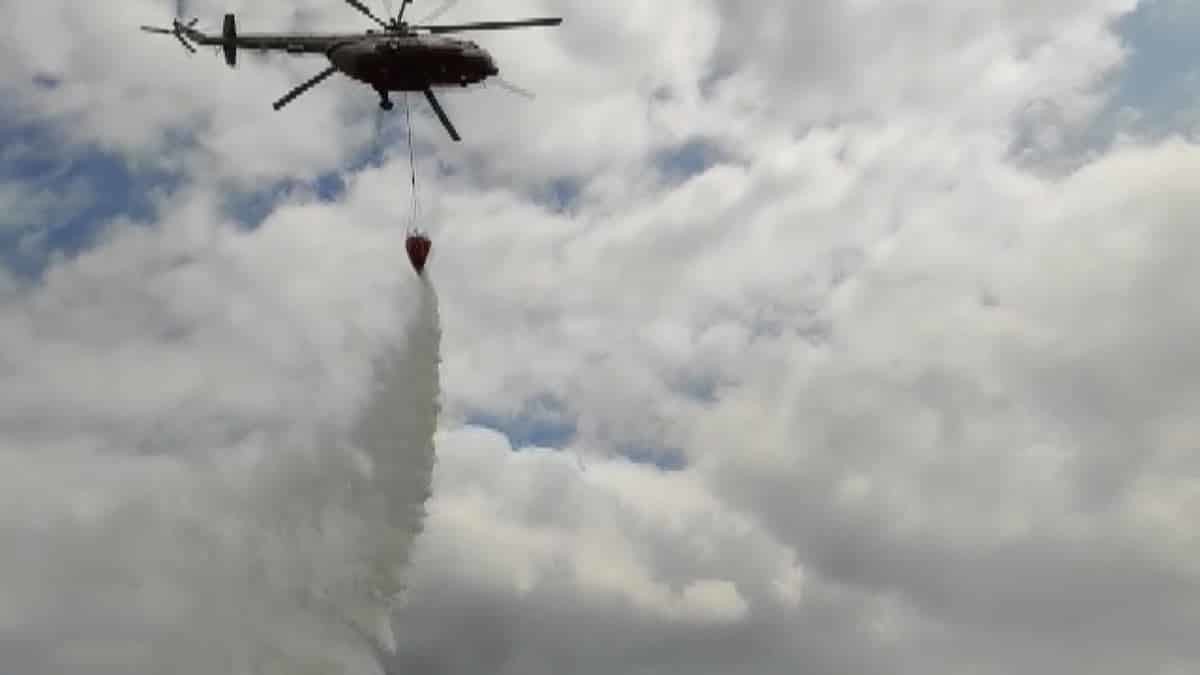 İstanbul Orman Bölge Müdürlüğü'nden alınan bilgilere göre İstanbul'un ormanlarında 2020 yılının ilk 10 ayında 143 yangın çıktı.