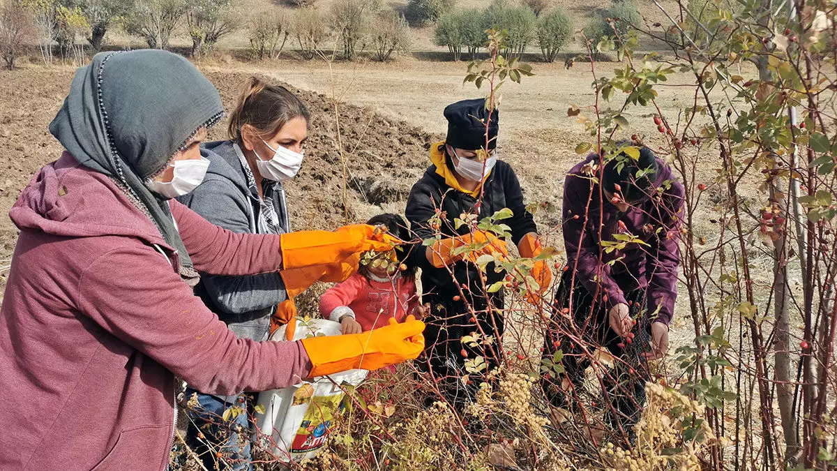 Hozat ilçesine bağlı türk taner köyünde yaşayan 10 kadın, evlerinde yaptıkları reçel ve marmelatlara talebin artması üzerine 1 yıl önce imalathane kurmaya karar verdi.