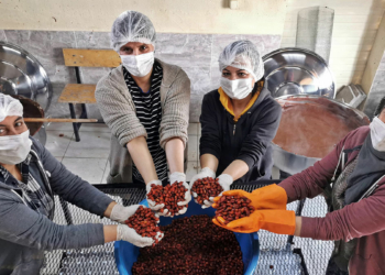 Hozat ilçesine bağlı Türk Taner köyünde yaşayan 10 kadın, evlerinde yaptıkları reçel ve marmelatlara talebin artması üzerine 1 yıl önce imalathane kurmaya karar verdi.